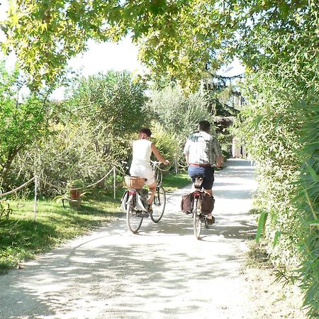 International Glamping Lago Di Bracciano Trevignano Romano Luaran gambar