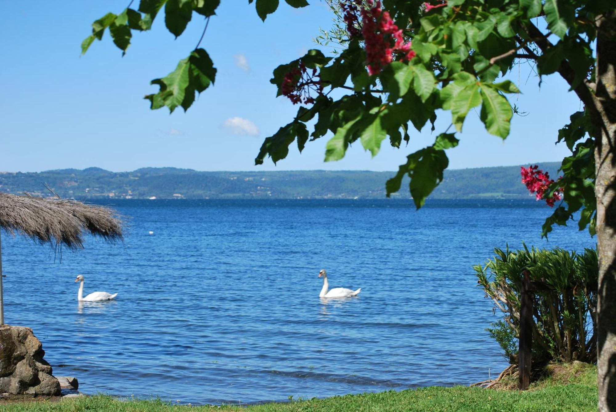 International Glamping Lago Di Bracciano Trevignano Romano Luaran gambar