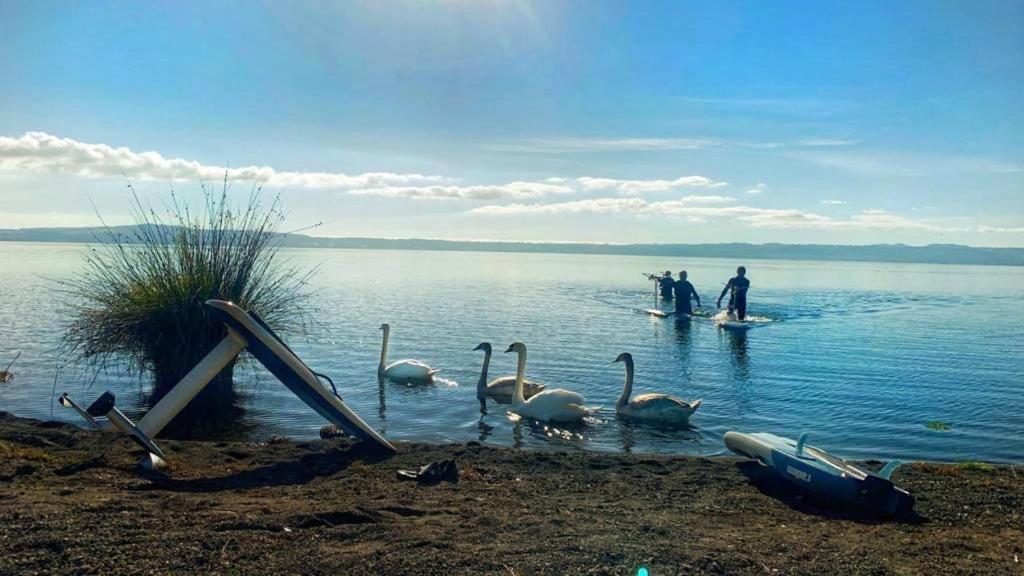 International Glamping Lago Di Bracciano Trevignano Romano Luaran gambar