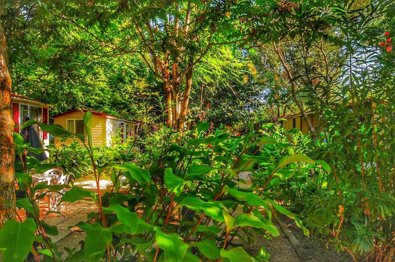 International Glamping Lago Di Bracciano Trevignano Romano Luaran gambar