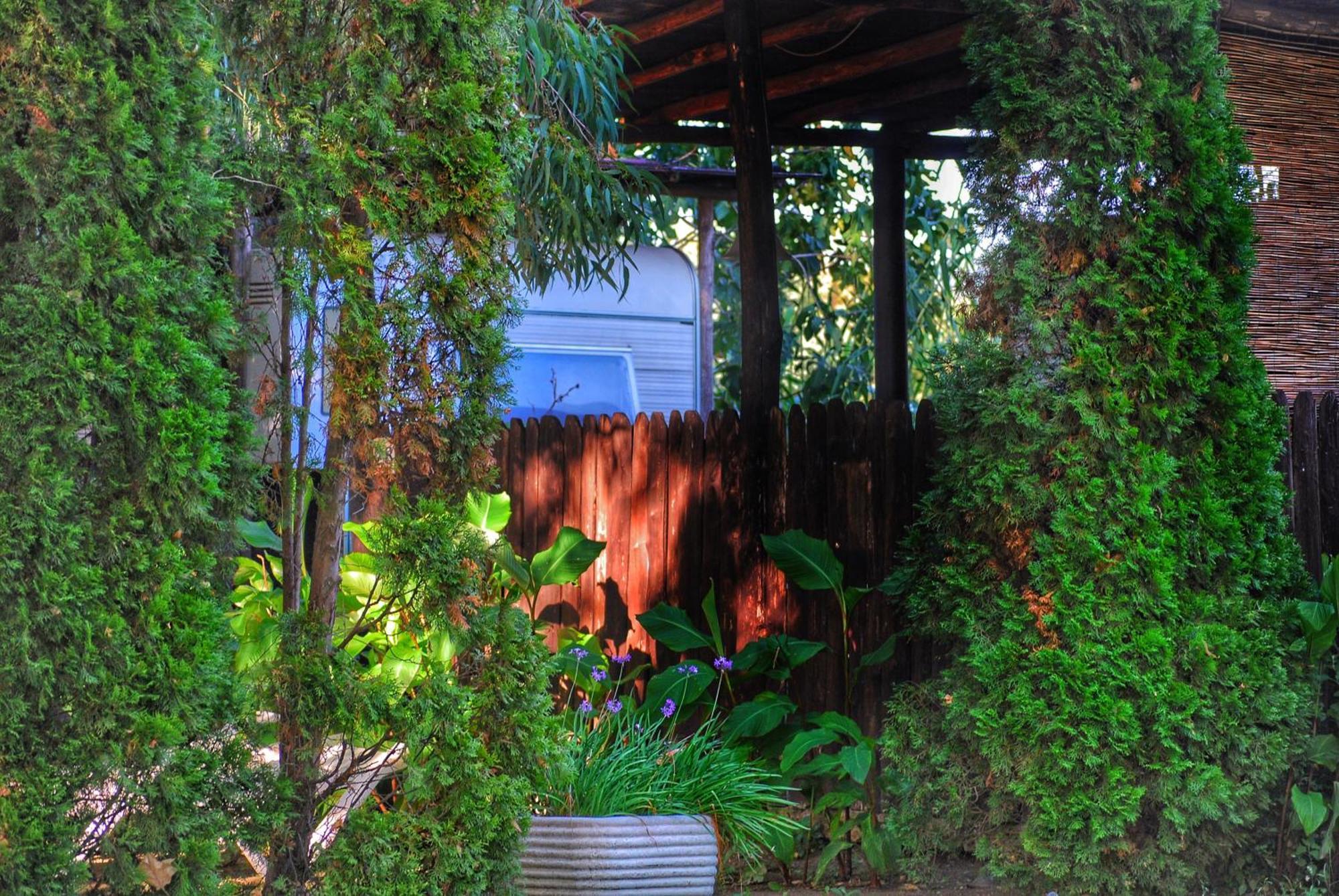 International Glamping Lago Di Bracciano Trevignano Romano Luaran gambar