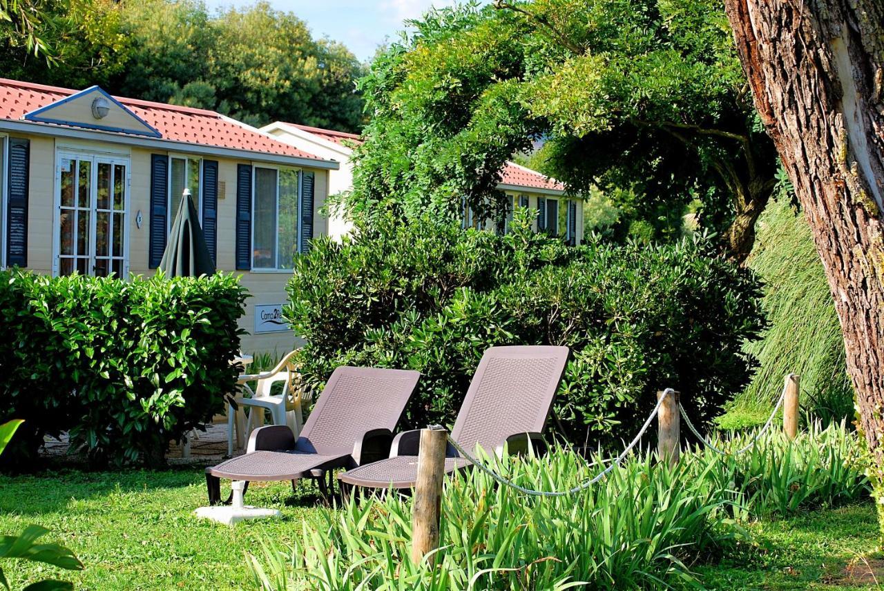 International Glamping Lago Di Bracciano Trevignano Romano Luaran gambar
