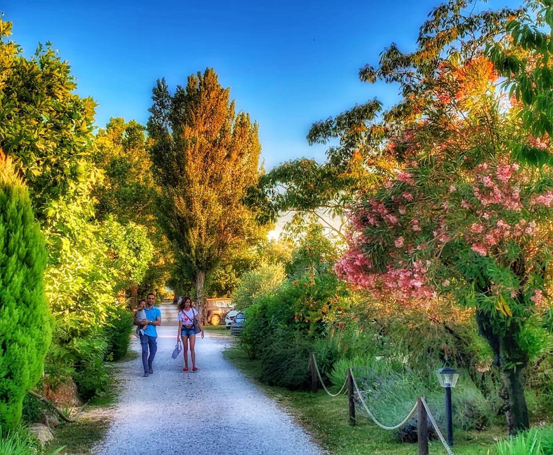International Glamping Lago Di Bracciano Trevignano Romano Luaran gambar